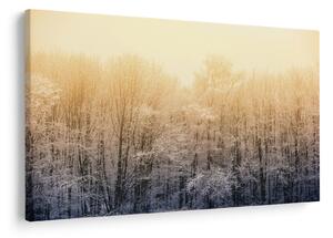 Tablou cu pădure geroasă (90x60 cm)
