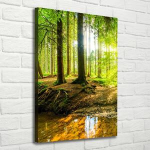 Tablou canvas Soare în pădure