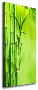 Print pe pânză Bambus