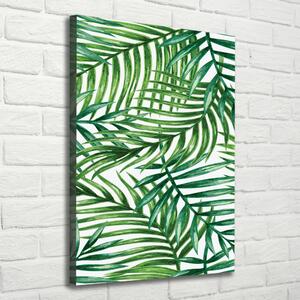 Tablou pe pânză canvas frunze de palmier