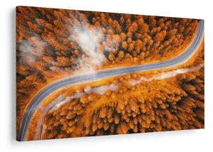 Tablou - Strada montană (90x60 cm)