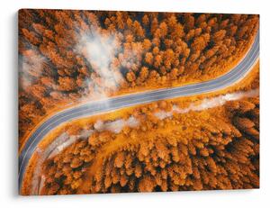 Tablou - Strada montană (70x50 cm)
