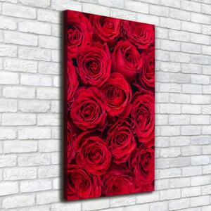 Tablou pe pânză canvas Trandafir roșu