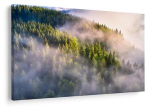 Tablou peisajului montan (90x60 cm)