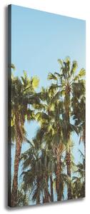 Imprimare tablou canvas palmieri