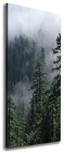 Tablou pe pânză canvas Ceață peste pădure