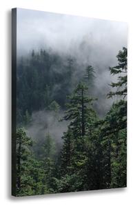 Tablou pe pânză canvas Ceață peste pădure