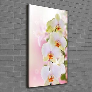 Tablou canvas alb orhidee
