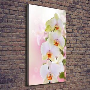 Tablou canvas alb orhidee