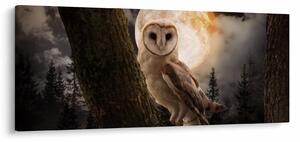 Tablou cu bufnița (120x50 cm)