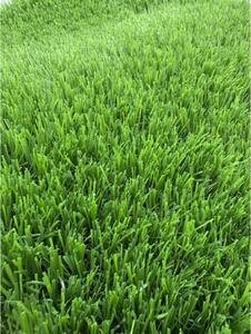 Gazon Artificial Premium, Lungime Fir 40 mm, Latime 1m, Marime 100 x 200 cm, 3 Nuante de Verde, Fire Drepte si Carliontate, Imitatie Perfecta Gazon