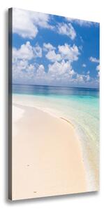 Tablou pe pânză canvas plaja Maldive
