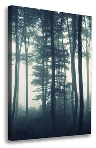 Tablouri tipărite pe pânză Ceață în pădure