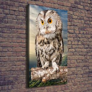 Tablou canvas Owl pe deal