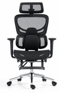 ErgoVanta Mesh — Scaun ergonomic, Suport lombar reglabil, Tetieră 2D, Cotiere reglabile, Mecanism cu blocare, Suport pentru picioare retractabil, Mesh, Negru