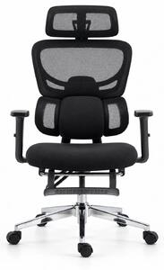 ErgoVanta — Scaun ergonomic, Spătar din Mesh, Suport lombar reglabil, Șezut buretat, Tetieră 2D, Cotiere reglabile, Mecanism cu blocare, Suport pentru picioare retractabil, Negru