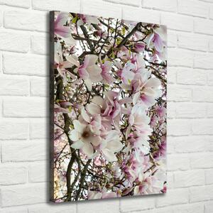 Tablou canvas flori magnolia