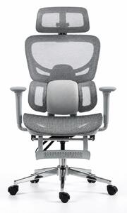 ErgoVanta Mesh — Scaun ergonomic, Suport lombar reglabil, Tetieră 2D, Cotiere reglabile, Mecanism cu blocare, Suport pentru picioare retractabil, Mesh, Gri