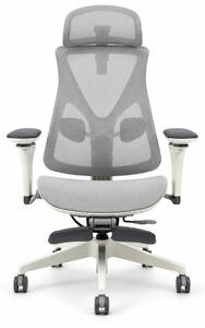 Scaun ergonomic ANEW ARYSE D3, Suport Lombar Trio Dinamic , Cotiere 5D Dual-Axis, Tetieră Reglabilă, Mecanism Sensibil la Greutate cu Seat-Slider, Suport Picioare, Mesh, Gri