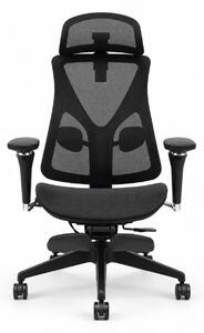 Scaun ergonomic ANEW ARYSE D3, Suport Lombar Trio Dinamic , Cotiere 5D Dual-Axis, Tetieră Reglabilă, Mecanism Sensibil la Greutate cu Seat-Slider, Suport Picioare, Mesh, Negru