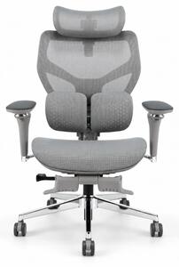 Scaun ergonomic ANEW ARYSE D6, Suport lombar dublu adaptiv 360°, Cotiere 5D, Tetieră 3D, Șezut mesh, Mecanism sensibil la greutate, Bază cromată, Suport pentru picioare, Gri