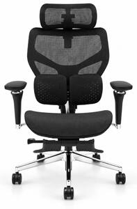 Scaun ergonomic ANEW ARYSE D6, Suport lombar dublu adaptiv 360°, Cotiere 5D, Tetieră 3D, Șezut mesh, Mecanism sensibil la greutate, Bază cromată, Suport pentru picioare, Negru