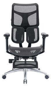 Scaun ergonomic SIHOO S100, cotiere 4D ultra moi, suport lombar adaptiv, spătar reglabil pe inaltime, sezut cu translatie, mecanism multifunctional inclinare/blocare, suport picioare, pivotant, Mesh, Negru