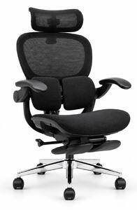 Scaun ergonomic ANEW ARYSE D5, Suport lombar dual 360°, Tetieră 4D, Șezut Zero-Pressure Frameless Mesh, Cotiere Flip-Back 4 poziții, Reclinare 135°, Suport picioare, Negru