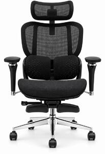 Scaun ergonomic ANEW ARYSE D4 Pro, Suport lombar dual adaptiv 360°, Tetieră 3D, Cotiere 5D, Șezut Glisant Zero-Pressure din Mesh, Suport picioare, Bază metalică, Negru
