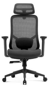 Scaun ergonomic premium Ally-H, spătar reglabil pe înălțime, șezut glisant, suport lombar 2D, tetieră 2D, cotiere 3D, reclinare 125°, Mesh + Textil, Negru