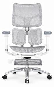 Scaun ergonomic SIHOO S100, cotiere 4D ultra moi, suport lombar adaptiv, spătar reglabil pe inaltime, sezut cu translatie, mecanism multifunctional inclinare/blocare, suport picioare Mesh, pivotant, Mesh, Gri