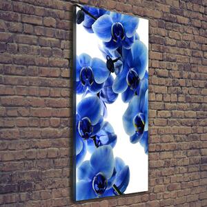 Tablou canvas albastru orhidee