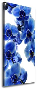 Tablou canvas albastru orhidee