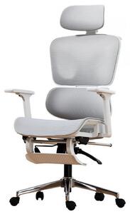 AERION – Scaun ergonomic, spătar ergonomic segmentat, suport lombar 3D, tetieră reglabilă, cotiere 3D, suport pentru picioare, înclinare până la 145°, bază metalică, Mesh, Alb/Gri