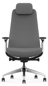 Scaun Ergonomic Premium cu Tetieră Reglabilă, Suport Lombar Ajustabil, Cotiere 3D, Mecanism Multifuncțional și Bază din Aluminiu, Gri