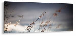 Tablou -Flori de luncă (120x50 cm)