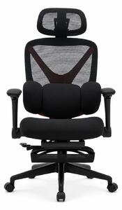 DeluxStar YX-977 NEXOR PRO FOAM SEAT – Scaun Ergonomic cu Suport Lombar 3D, Tetieră 3D, Cotiere 4D, Șezut Glisant, Înclinare 140°, Suport pentru Picioare, Negru