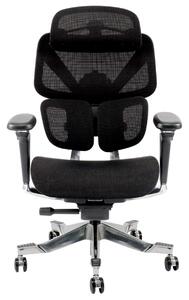 DeluxStar T2 ELITE PRO – Scaun Ergonomic Premium cu Suport Lombar Dual Dynamic 3D, Suspensie Air-Glide și Suport Complet Cervical – Spate – Lombar, Negru