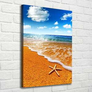 Print pe canvas Starfish pe plajă