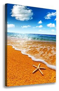 Print pe canvas Starfish pe plajă