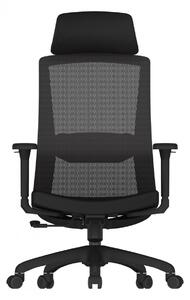 Scaun ergonomic SIHOO M86C –Suport lombar și Cotiere reglabile, Tetieră reglabilă, Mecanism Synchro cu poziție de blocare, Spătar înalt din plasă respirabilă, Rotativ, Negru