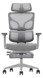 AEROFORM PRO – Scaun Ergonomic Premium, Suport Lombar cu arc, Cotiere 3D, Tetieră reglabilă, Șezut Glisant, Suport pentru picioare extensibil, Gri