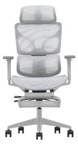 VERTEX PRO – Scaun Ergonomic Premium, Suport Lombar Dublu cu arc și reglaj al tensiunii, Cotiere 3D, Tetieră reglabilă, Șezut Glisant, Suport pentru picioare extensibil, Gri