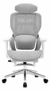 MONZA E16 Executive – Scaun Ergonomic Premium, Reglaje Avansate, Suport Lombar Reglabil pe Înălțime, Tetieră Reglabilă, Cotiere 3D, Șezut Extensibil, Reclinare 135°, Suport pentru Picioare și Bază Metalică, Mesh, Gri