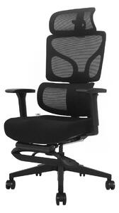 AEROFORM PRO – Scaun Ergonomic Premium, Suport Lombar cu arc, Cotiere 3D, Tetieră reglabilă, Șezut glisant, Suport pentru picioare extensibil, Negru