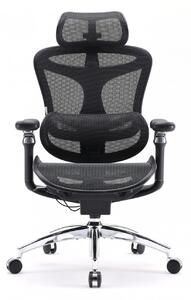 Scaun Ergonomic SIHOO Doro C300 Pro M101, Suport Lombar Adaptiv Inteligent, Spătar Reglabil pe Înălțime, Tetieră 3D, Cotiere 6D PU, Șezut Glisant, Reclinare 135°, Mesh, Negru
