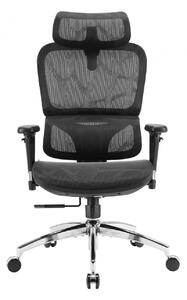 Scaun ergonomic SIHOO M56B-V2-M101, Suport Lombar Dinamic 3D, Tetieră 3D, Cotiere 3D, Înclinare 125°, Bază Metalică Cromată, Mesh, Negru
