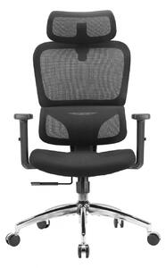 Scaun ergonomic SIHOO M56C-V2-M101, Suport Lombar Dinamic în Formă S, Tetieră Reglabilă 2D, Cotiere Ajustabile, Mecanism Synchro-Tilt, Bază Metalică Cromată, Mesh, Negru