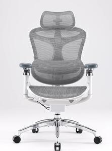 Scaun Ergonomic SIHOO Doro C300 Pro M102, Suport Lombar Adaptiv Inteligent, Spătar Reglabil pe Înălțime, Tetieră 3D, Cotiere 6D PU, Șezut Glisant, Reclinare 135°, Mesh, Gri