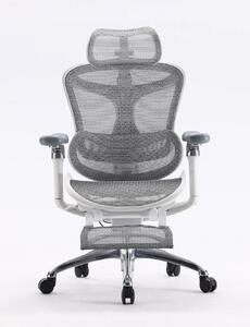 Scaun Ergonomic SIHOO C300, Suport Lombar Inteligent, Tetieră 3D, Cotiere 5D, Șezut Glisant, Spătar Reglabil pe Înălțime, Suport pentru Picioare, Mesh, Gri